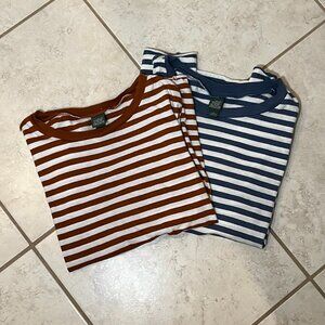 Wild Fable Stripped Crop Top Bundle